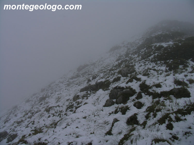 Nebbia e neve