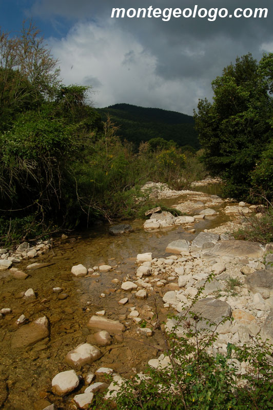 Torrente