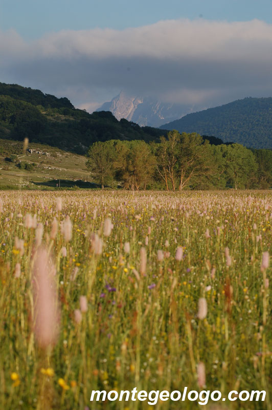 Altipiano delle Rocche