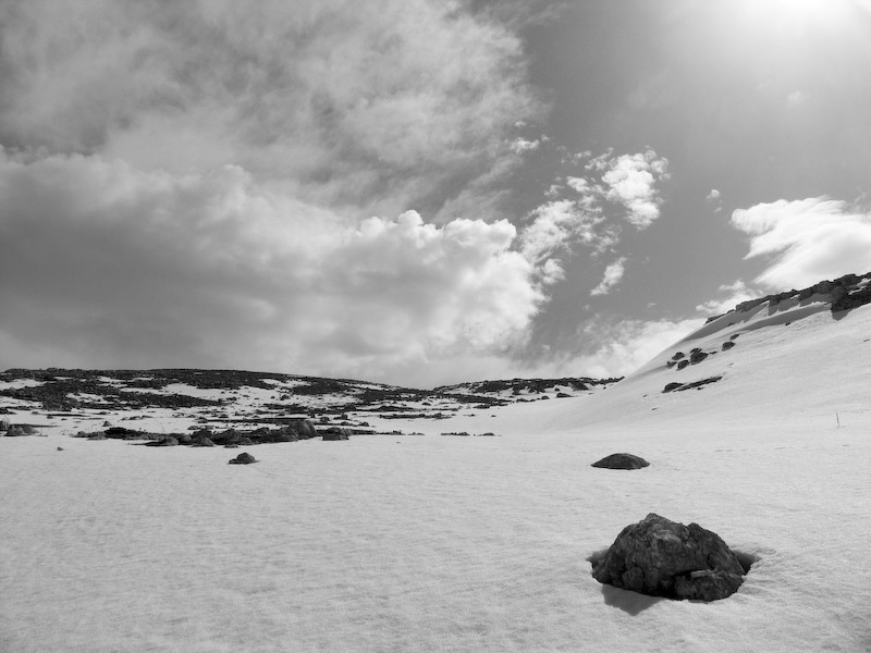 Neve in bianco e nero