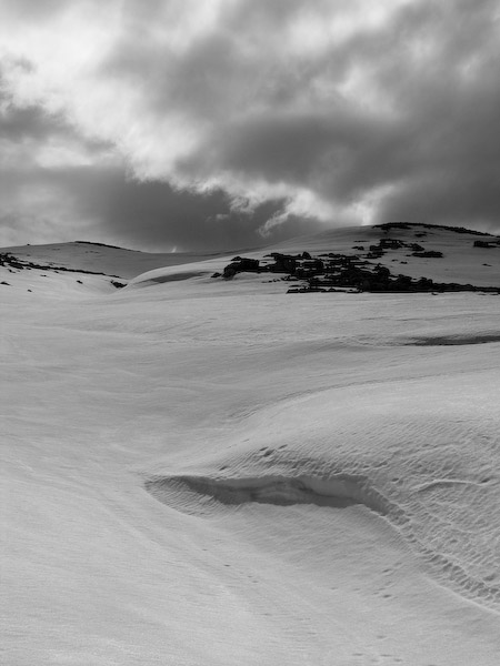 Ombre sulla neve